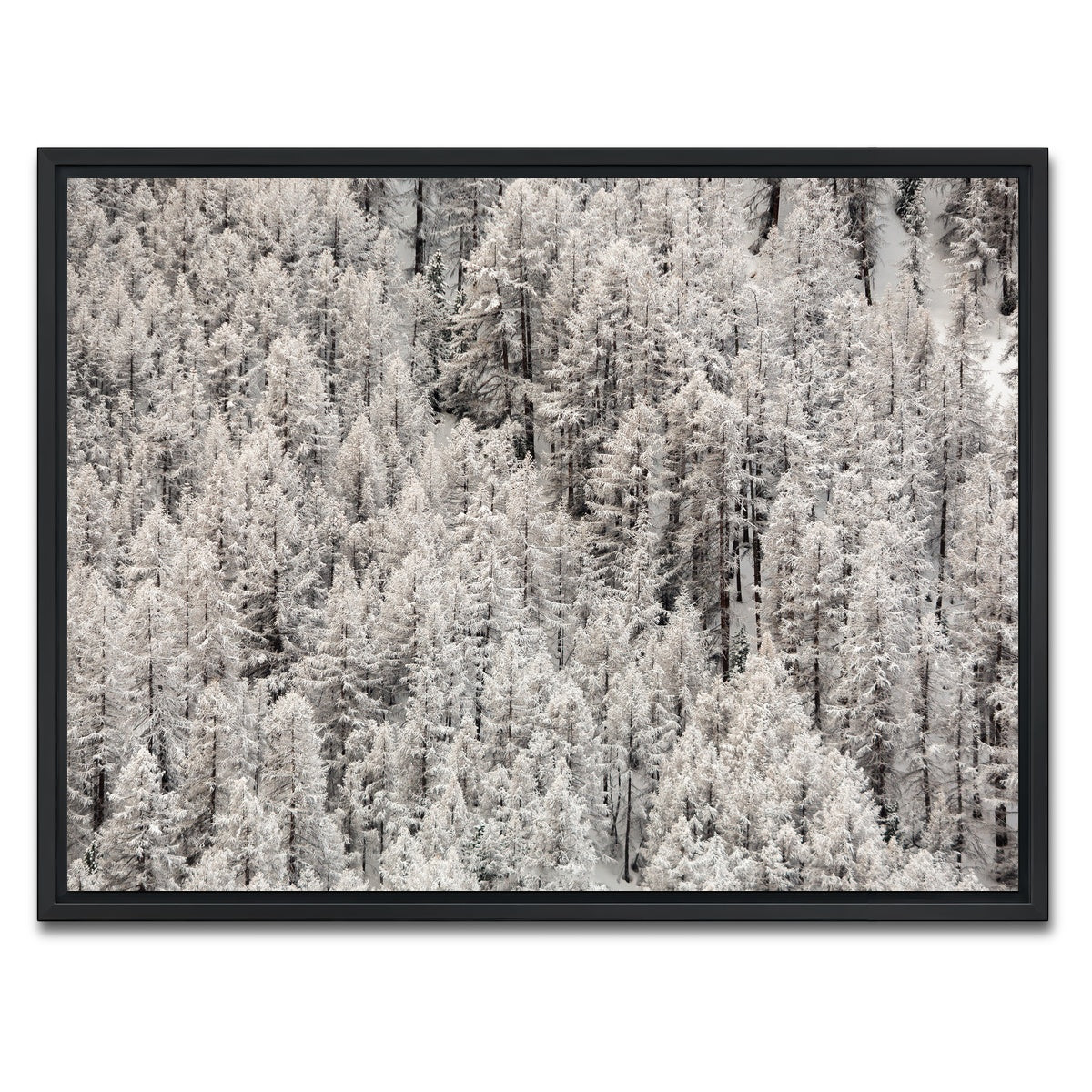 AUTO-MOCKUP WHITE | Enneigement tardif | 1 Piece | Black Framed Canvas | group=4x3