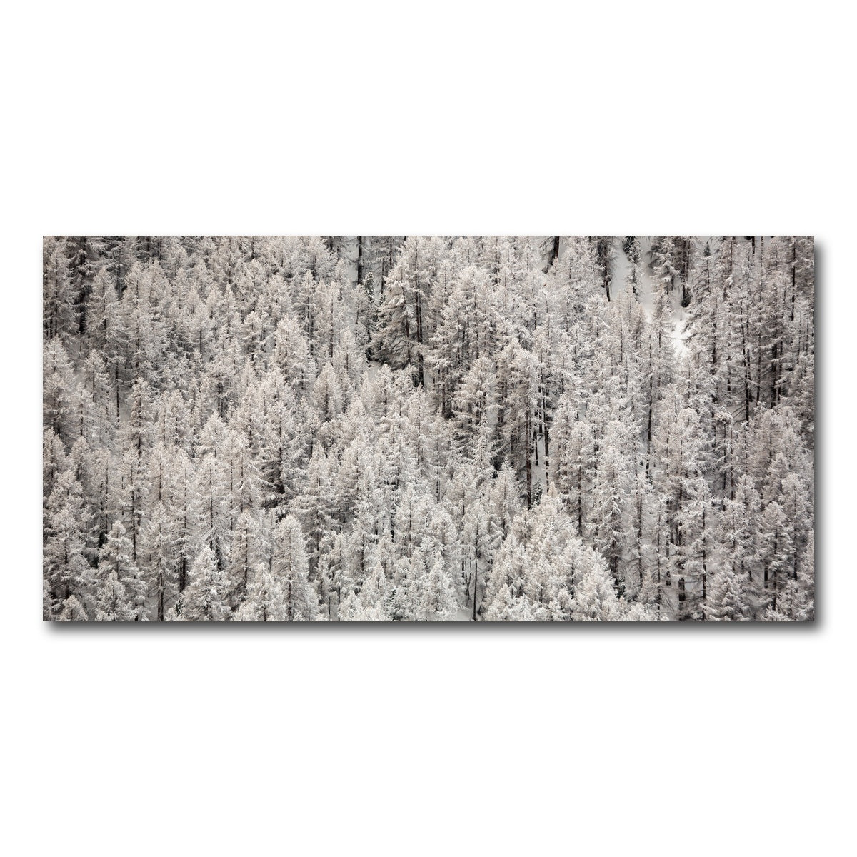 AUTO-MOCKUP WHITE | Enneigement tardif | 1 Piece | Gallery Wrap Canvas | group=2x1