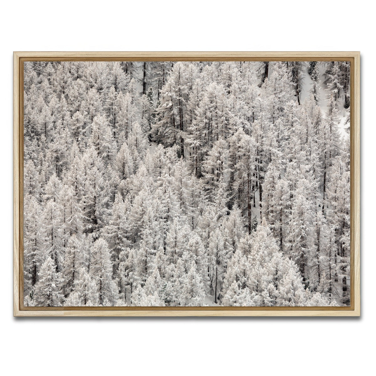 AUTO-MOCKUP WHITE | Enneigement tardif | 1 Piece | Natural Framed Canvas | group=4x3