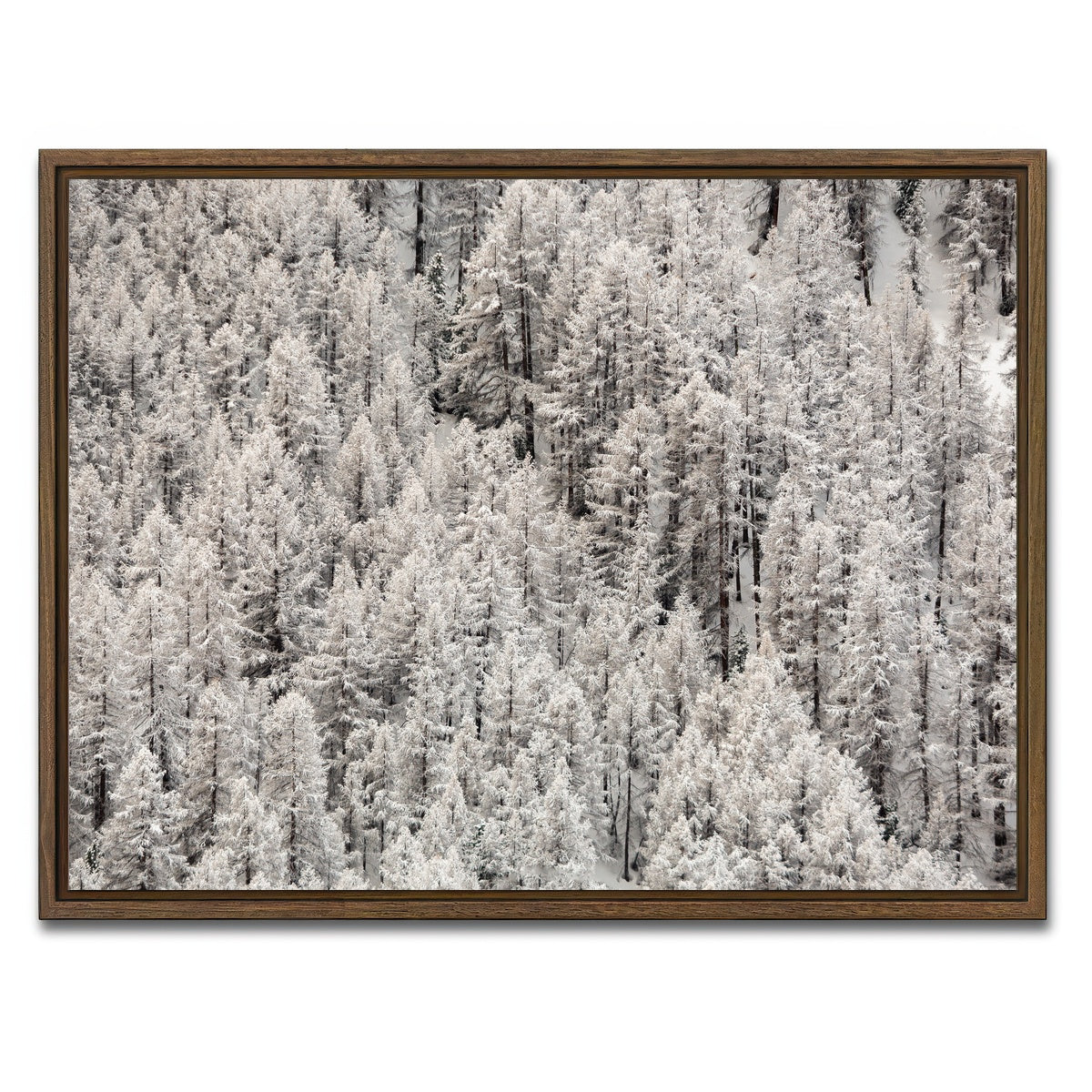 AUTO-MOCKUP WHITE | Enneigement tardif | 1 Piece | Walnut Framed Canvas | group=4x3