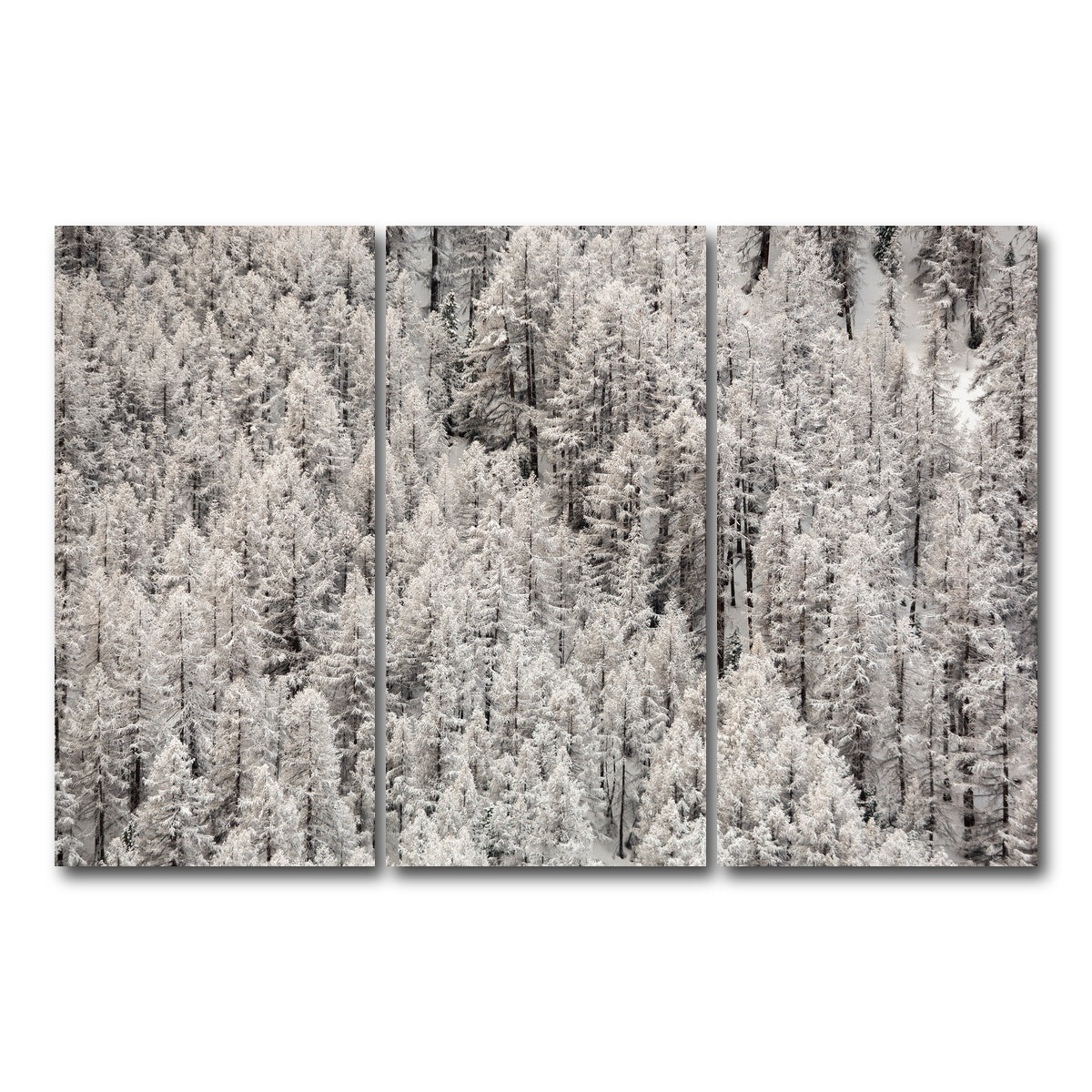 AUTO-MOCKUP WHITE | Enneigement tardif | 3 Piece | Gallery Wrap Canvas | group=12x24