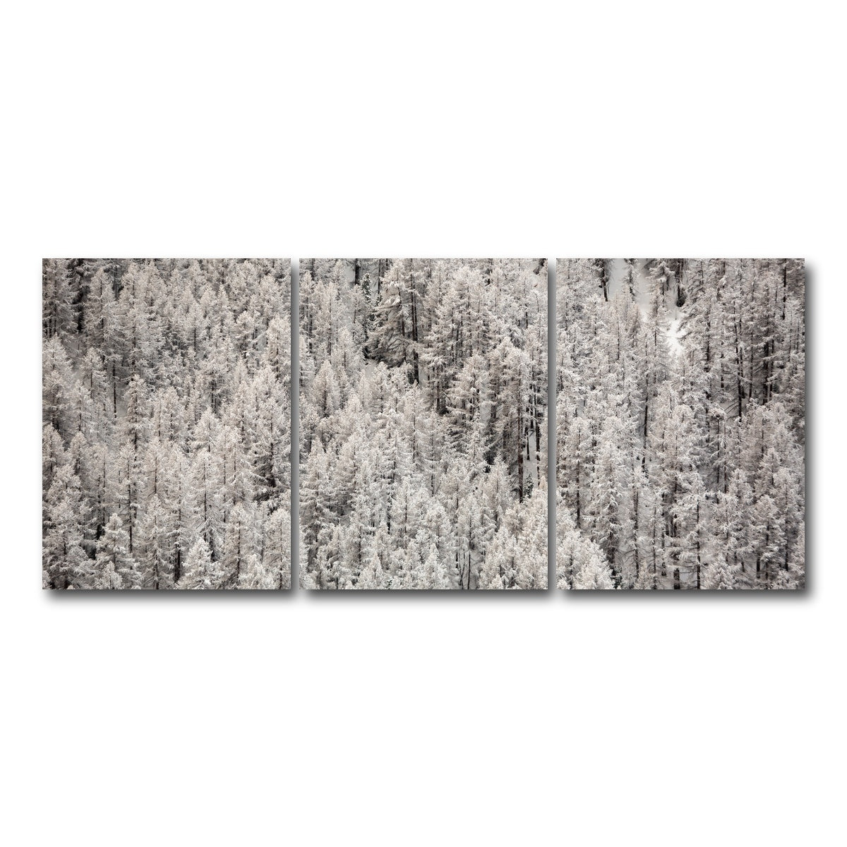 AUTO-MOCKUP WHITE | Enneigement tardif | 3 Piece | Gallery Wrap Canvas | group=18x24