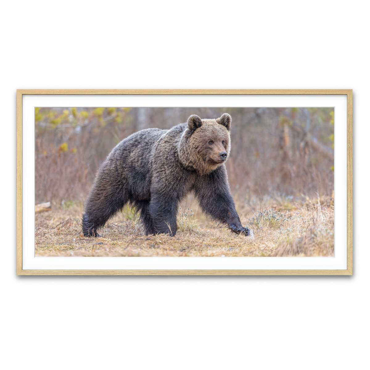 Framed Print 2x1 Natural