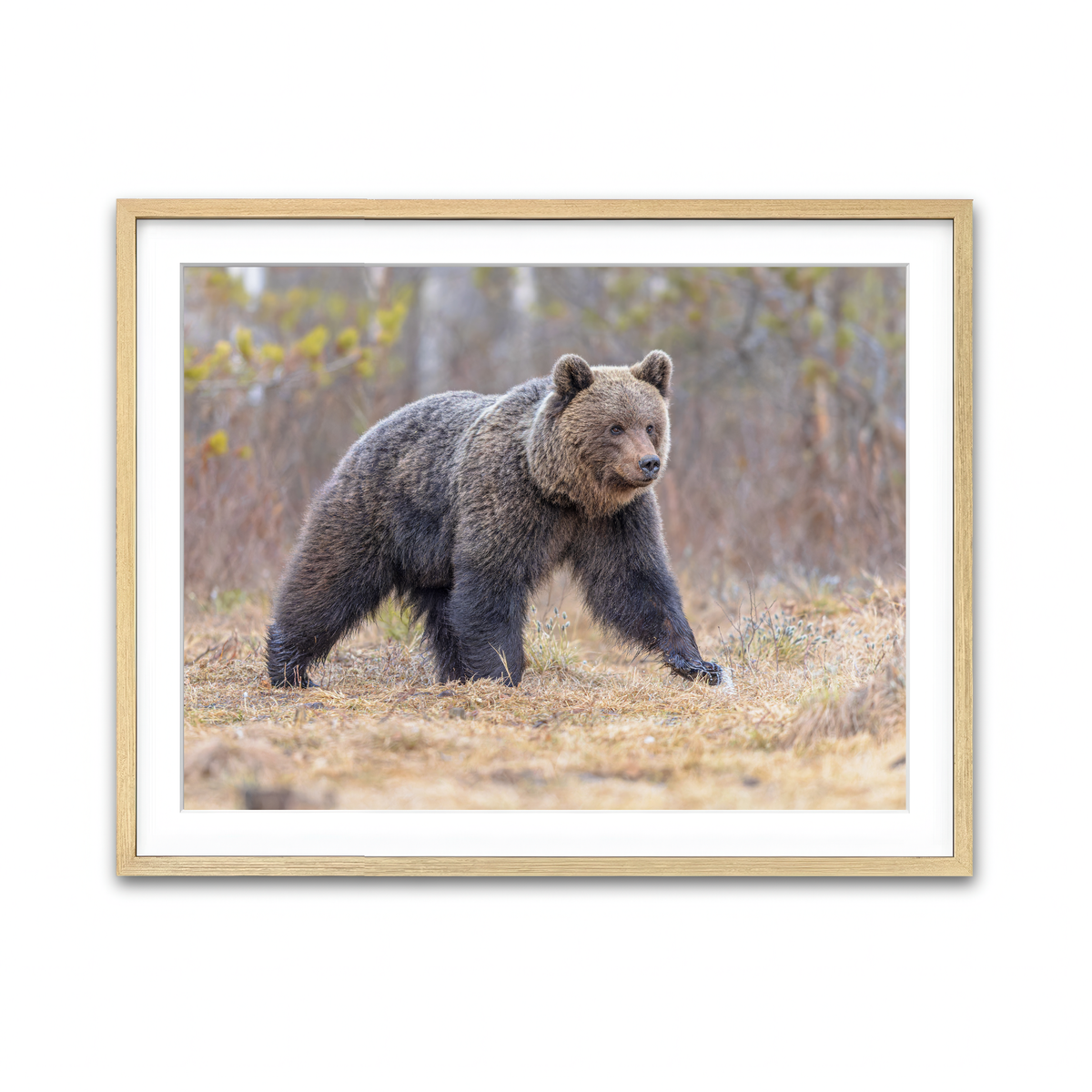 Framed Print 4x3 Natural