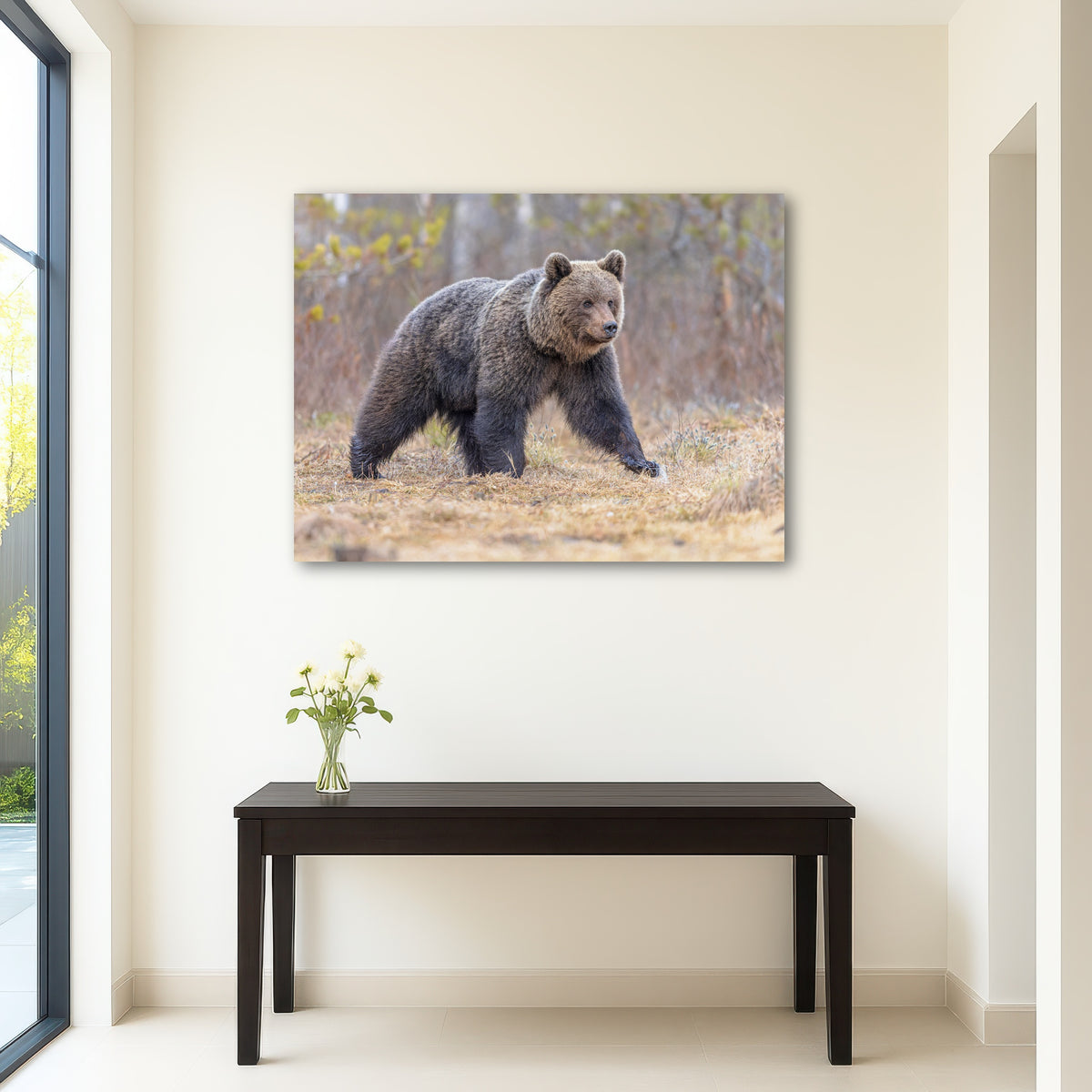 AUTO-MOCKUP ROOM | Eurasian brown bear