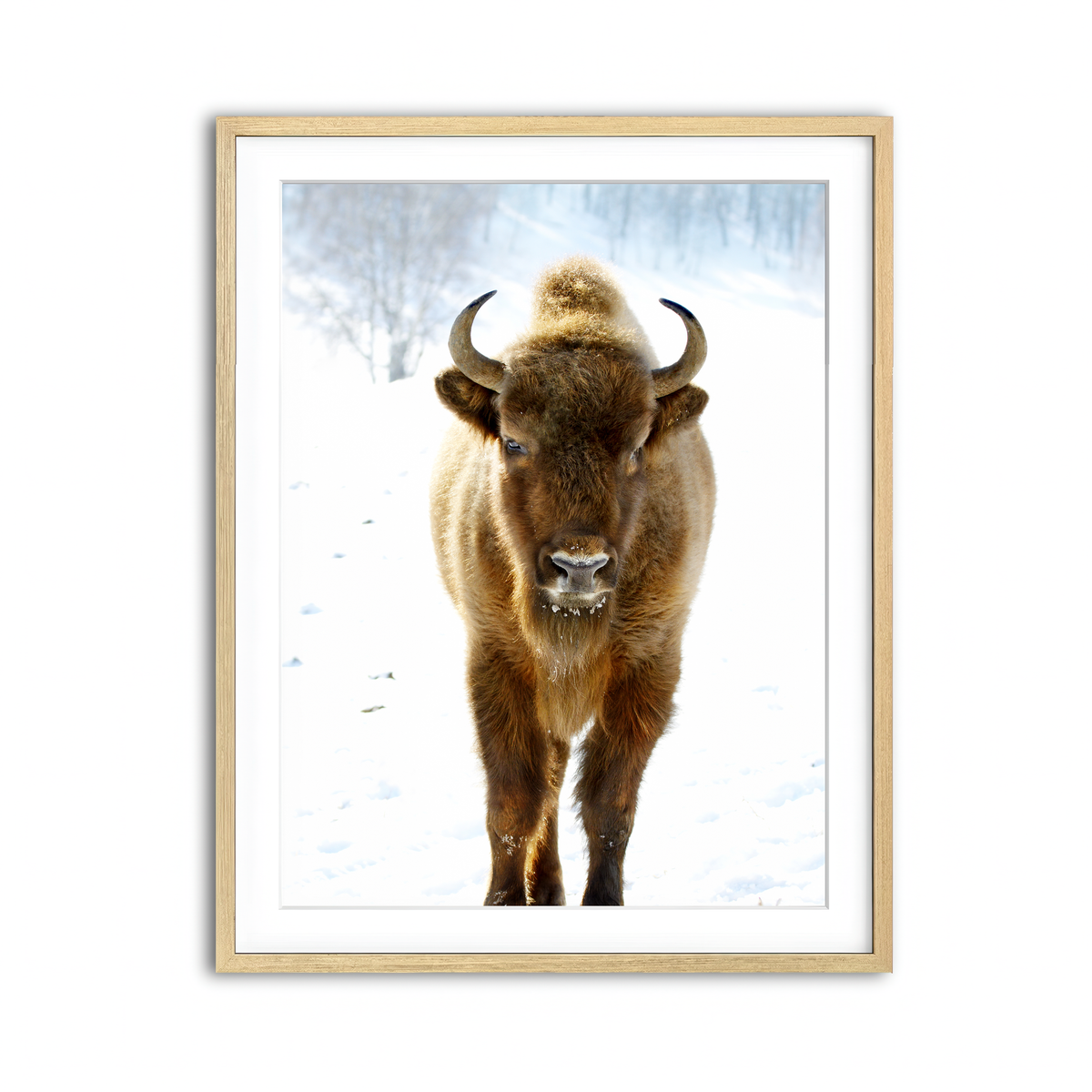 Framed Print 3x4 Natural