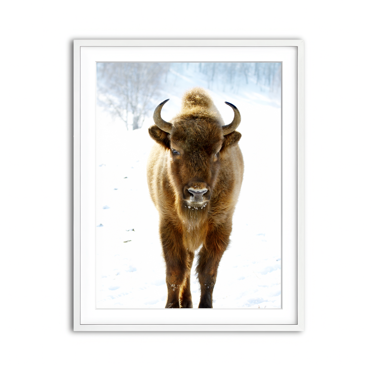 Framed Print 3x4 White