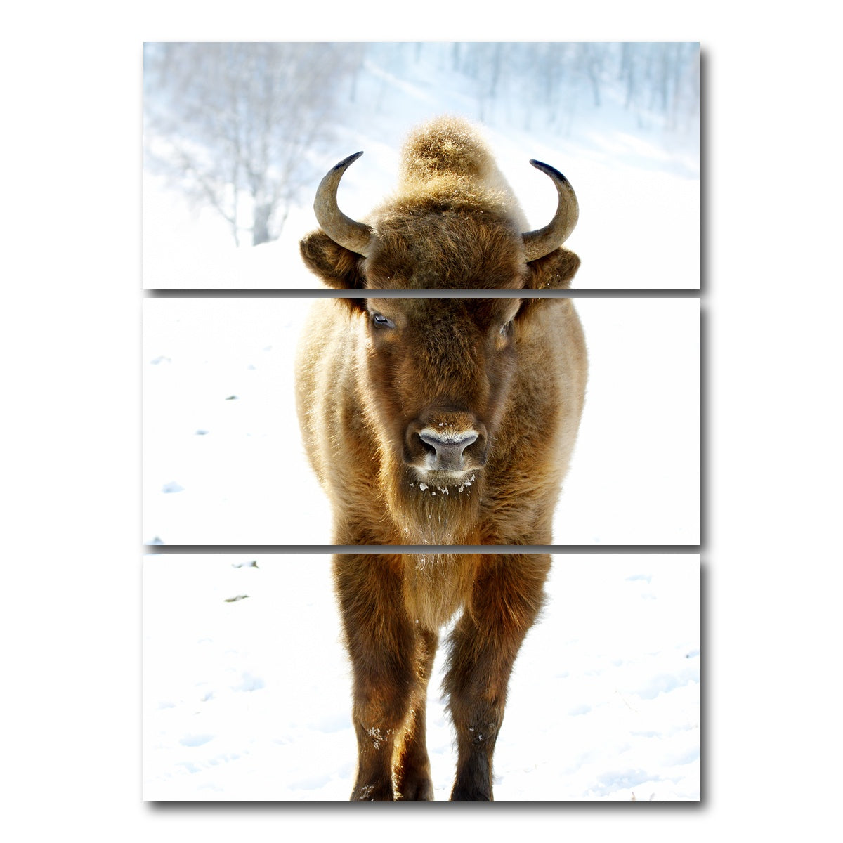 AUTO-MOCKUP WHITE | European Bison | 3 Piece | Gallery Wrap Canvas | group=8x18_stacked