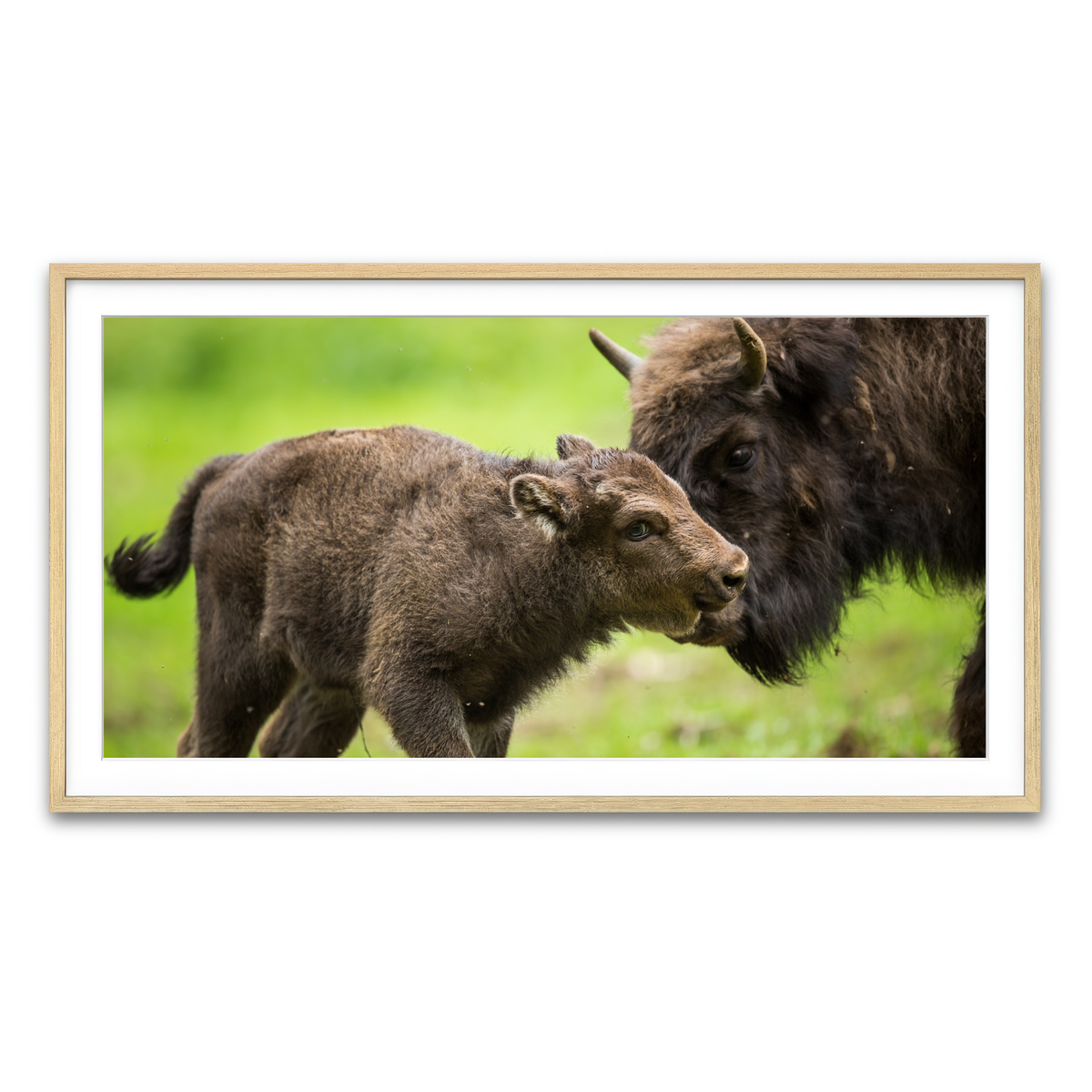 Framed Print 2x1 Natural