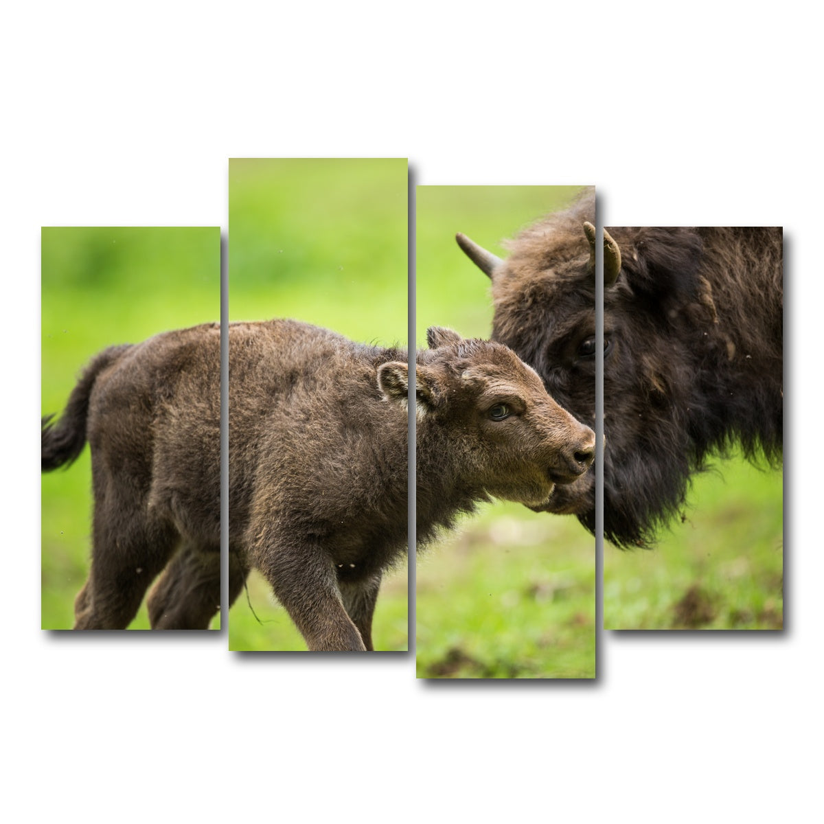 AUTO-MOCKUP WHITE | European Bison and Calf | 4 Piece | Gallery Wrap Canvas | group=4_normal