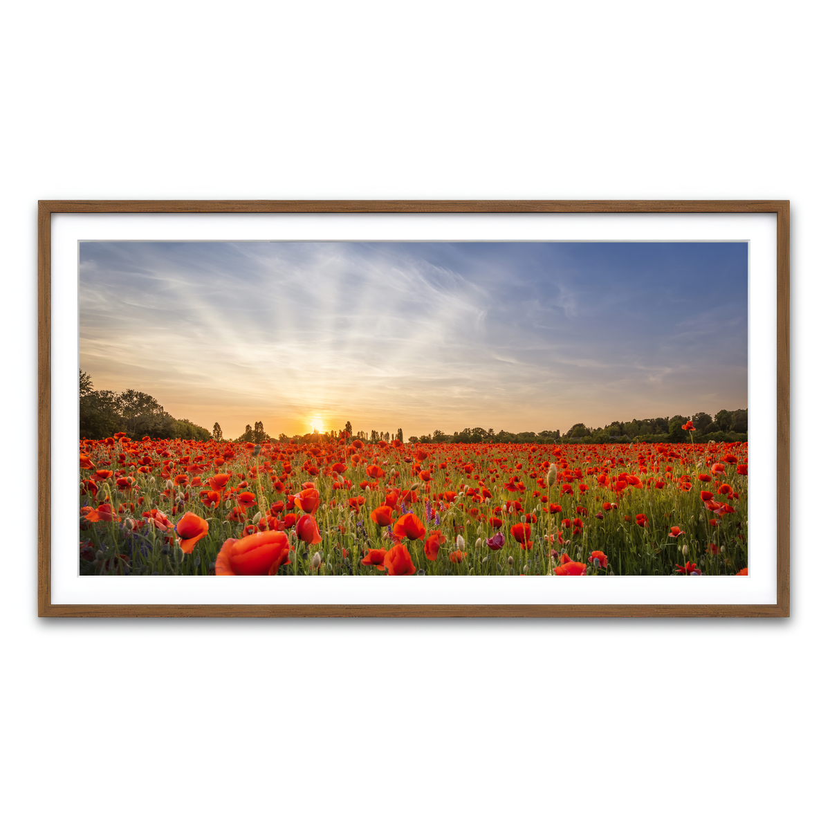 Framed Print 2x1 Walnut