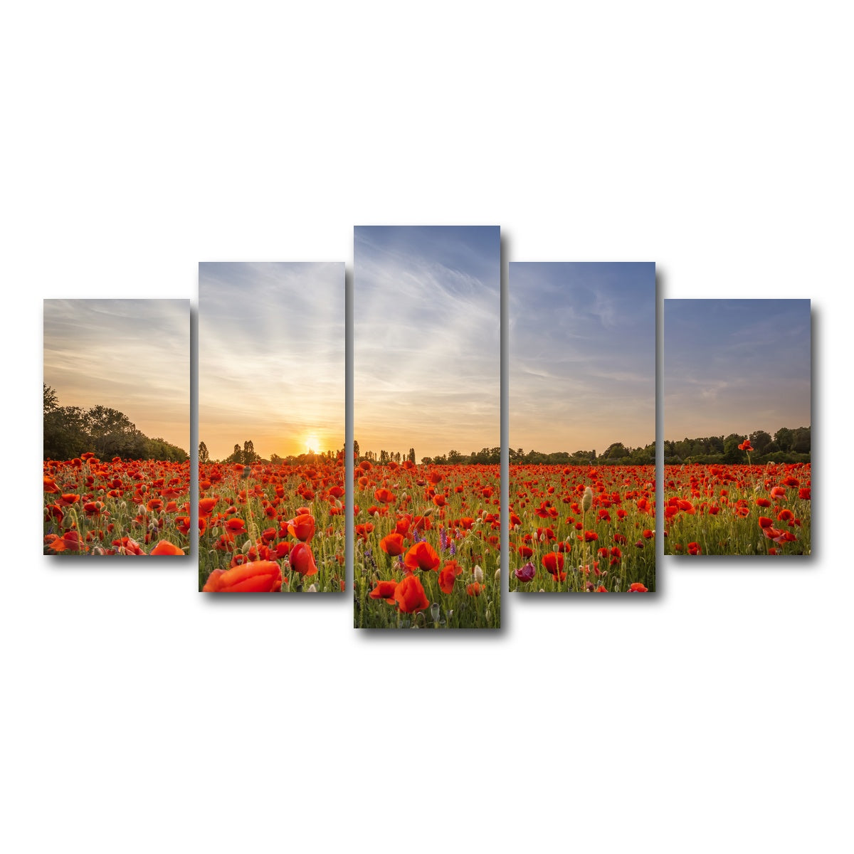AUTO-MOCKUP WHITE | Evening in a poppy field | 5 Piece | Gallery Wrap Canvas | group=5_normal