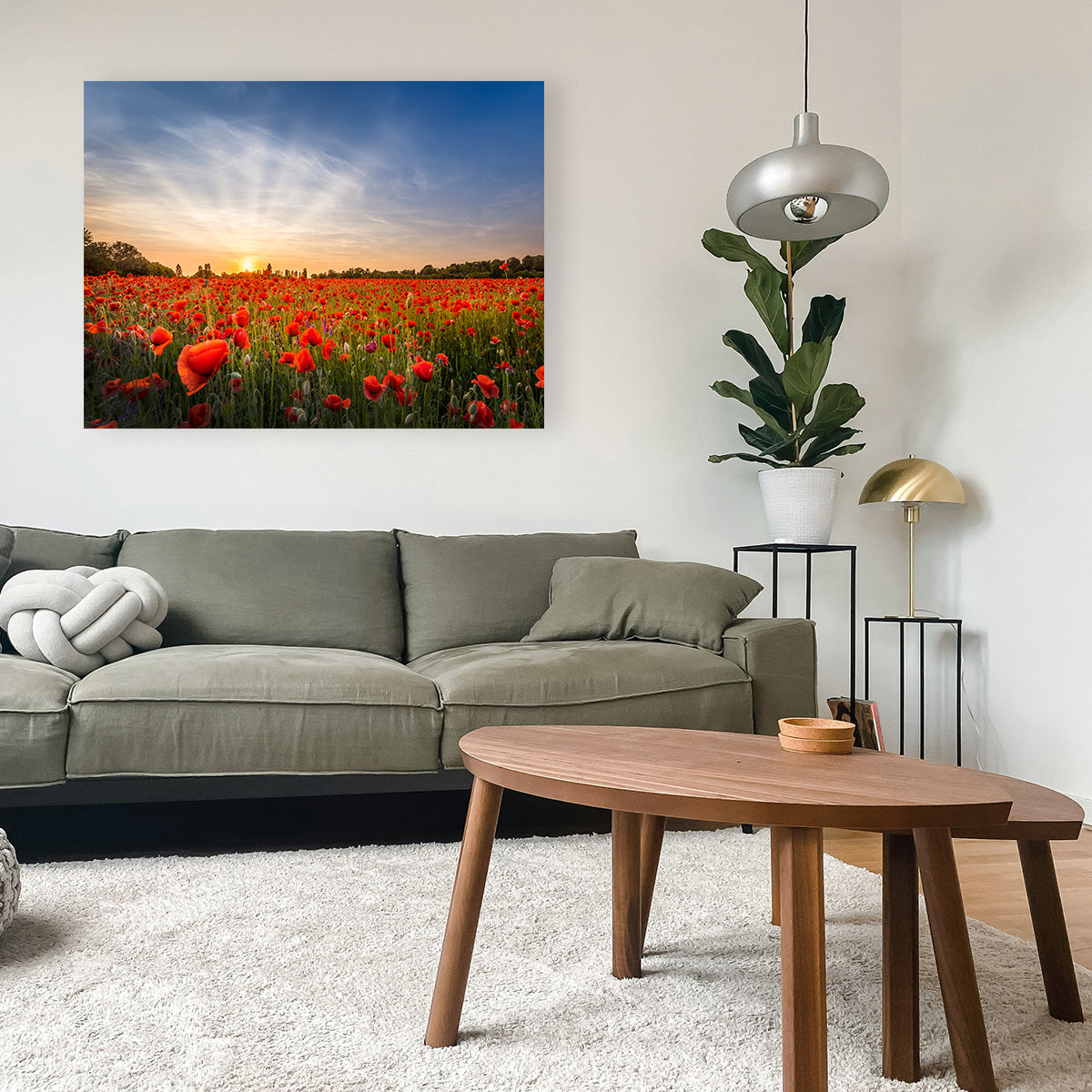 Evening in a Poppy Field Wall Art