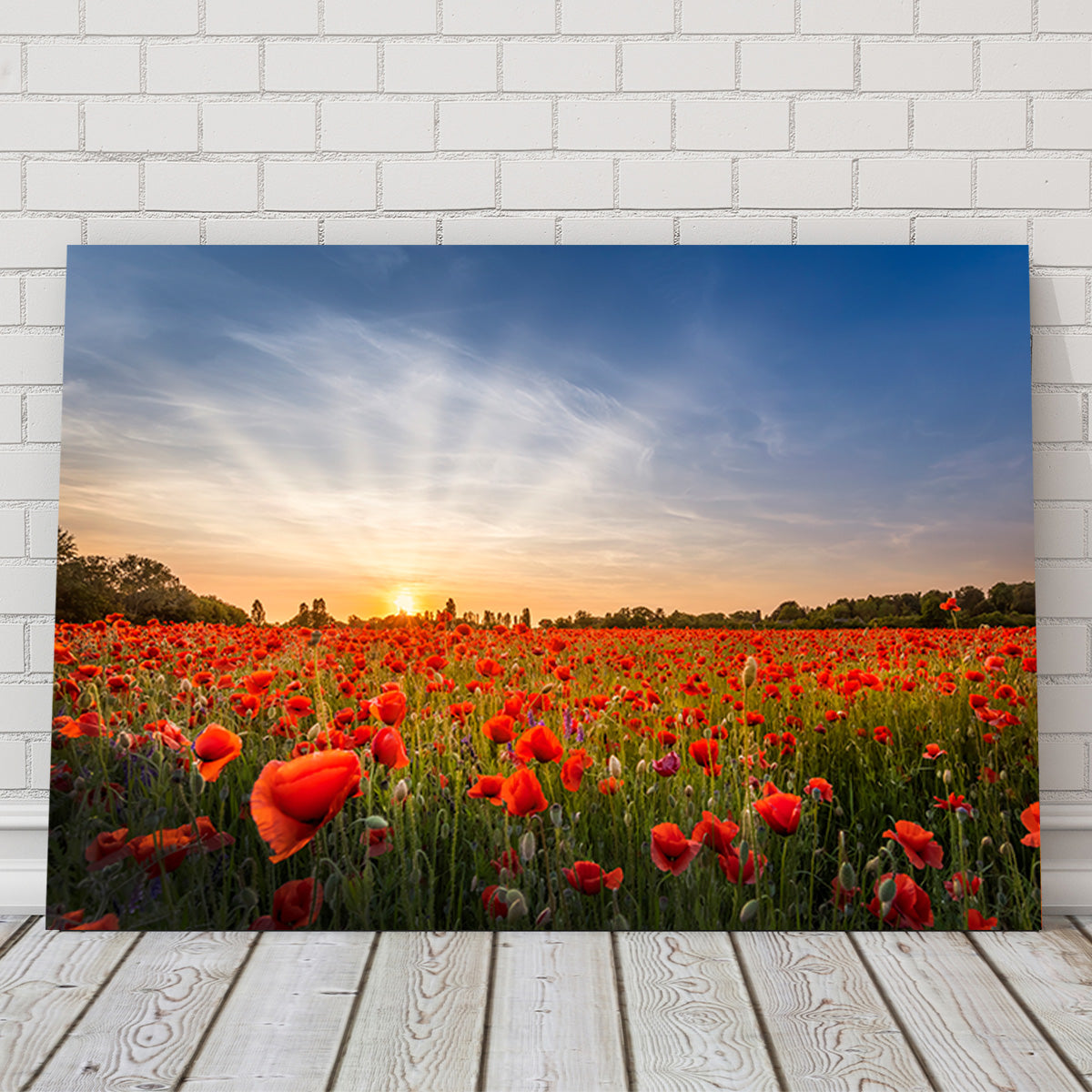 Evening in a Poppy Field Wall Art