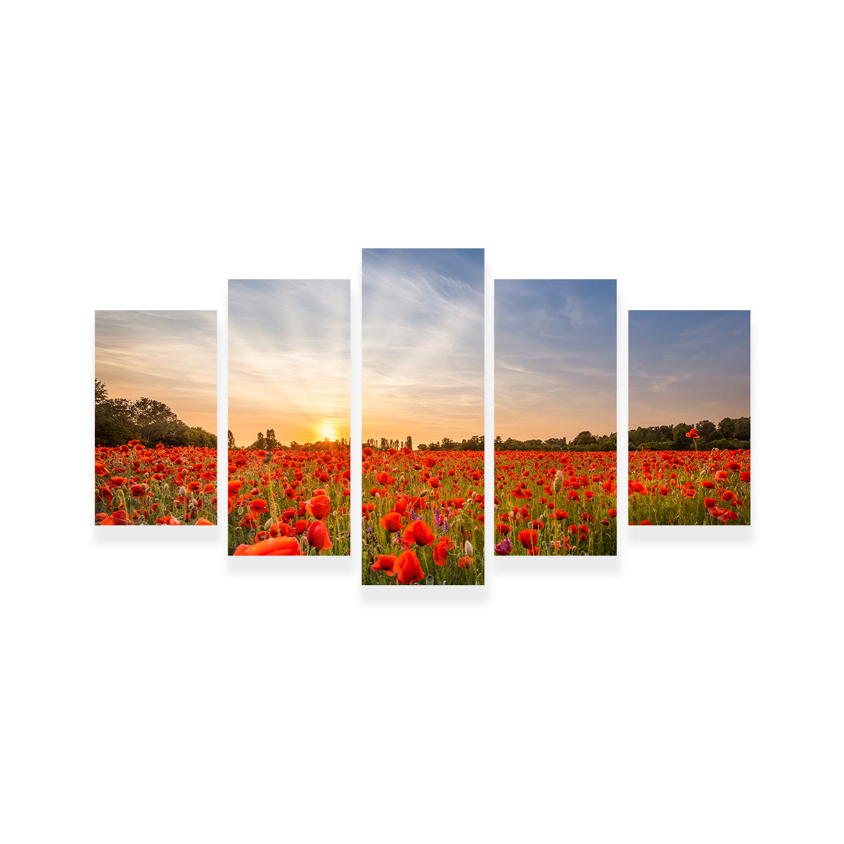 Evening in a Poppy Field Wall Art