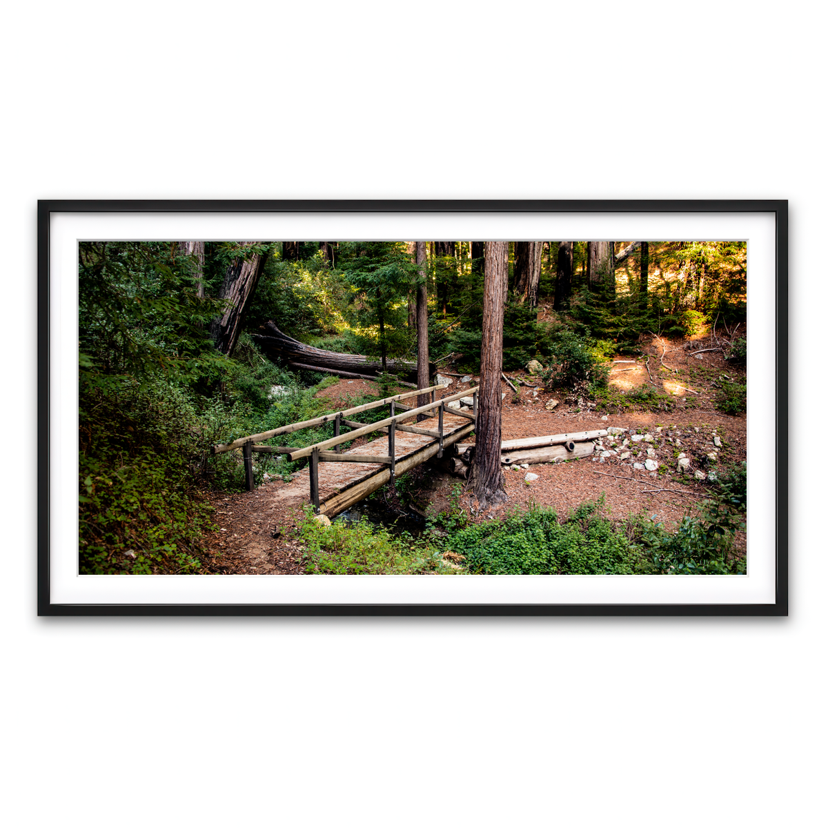 Framed Print 2x1 Black