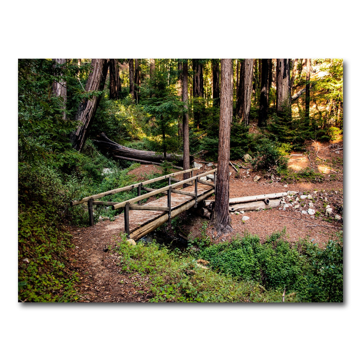 AUTO-MOCKUP WHITE | Ewoldsen Loop Bridge | 1 Piece | Gallery Wrap Canvas | group=4x3
