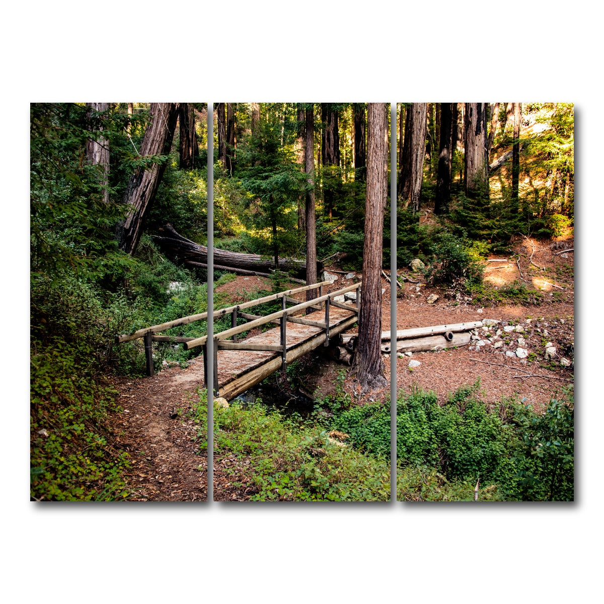 AUTO-MOCKUP WHITE | Ewoldsen Loop Bridge | 3 Piece | Gallery Wrap Canvas | group=8x18