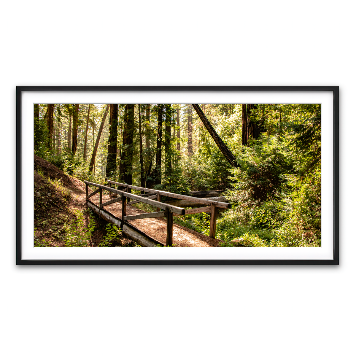 Framed Print 2x1 Black