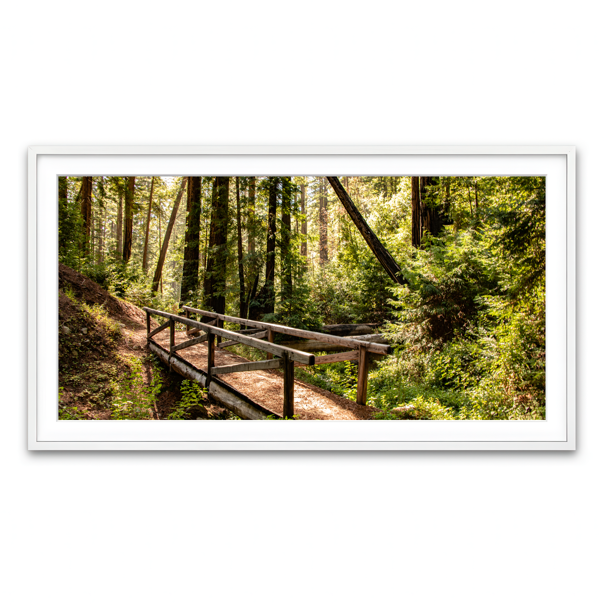 Framed Print 2x1 White