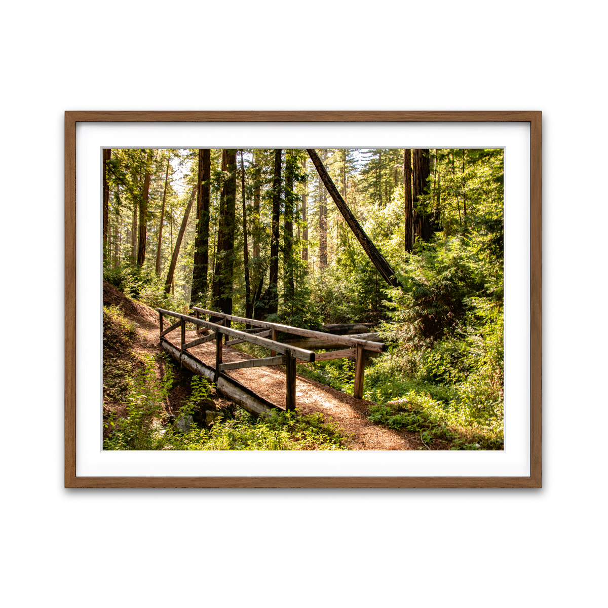 Framed Print 4x3 Walnut