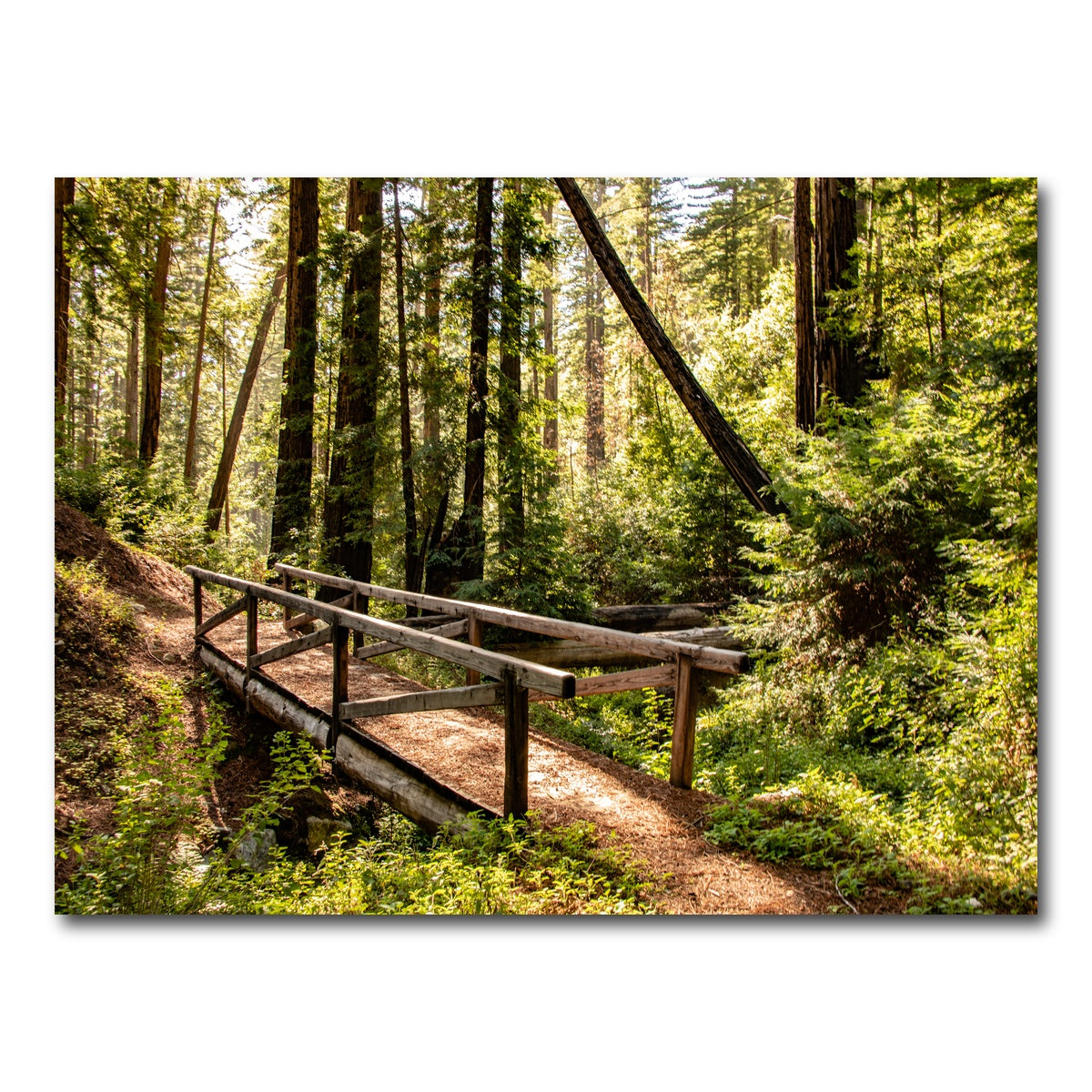 AUTO-MOCKUP WHITE | Ewoldsen Trail Bridge | 1 Piece | Gallery Wrap Canvas | group=4x3