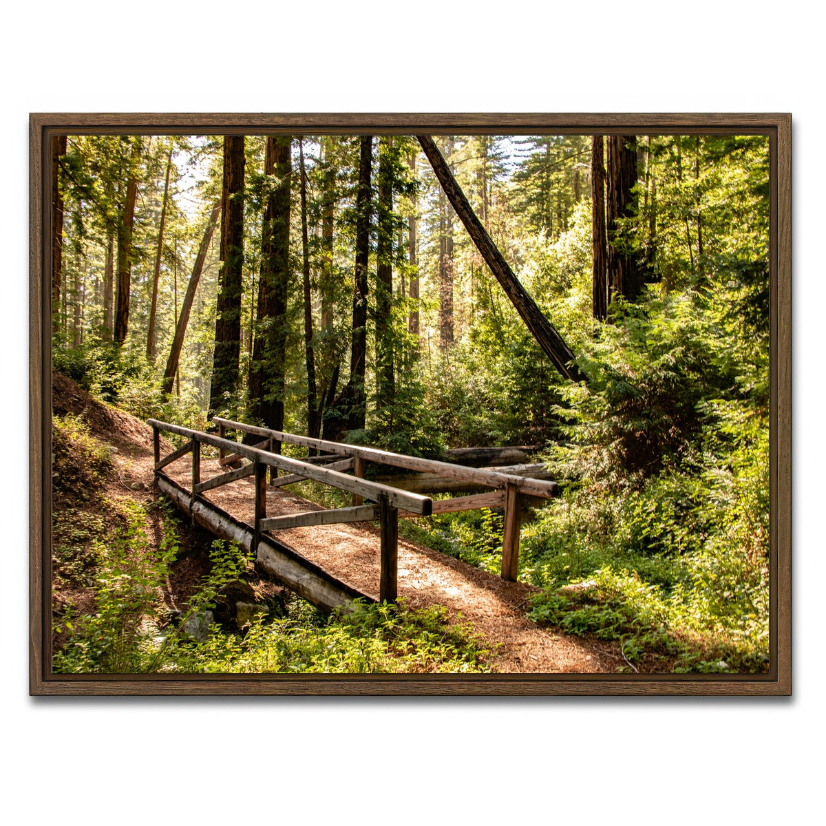 AUTO-MOCKUP WHITE | Ewoldsen Trail Bridge | 1 Piece | Walnut Framed Canvas | group=4x3