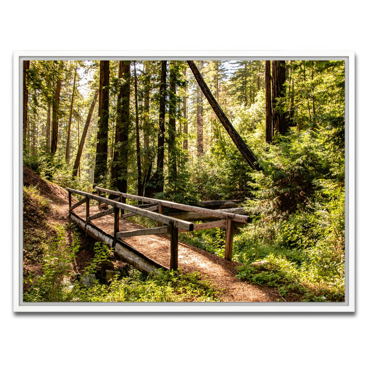 AUTO-MOCKUP WHITE | Ewoldsen Trail Bridge | 1 Piece | White Framed Canvas | group=4x3
