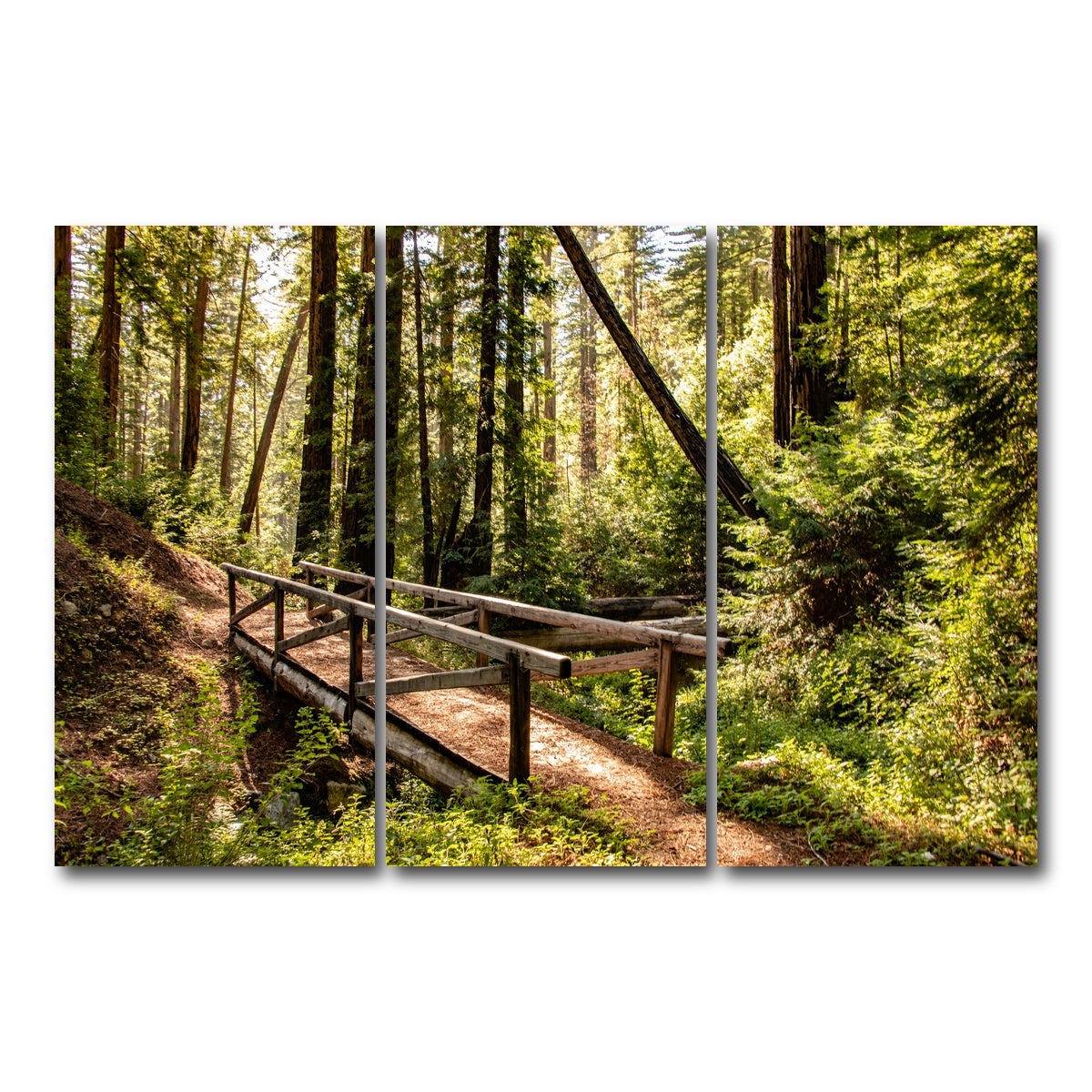 AUTO-MOCKUP WHITE | Ewoldsen Trail Bridge | 3 Piece | Gallery Wrap Canvas | group=12x24