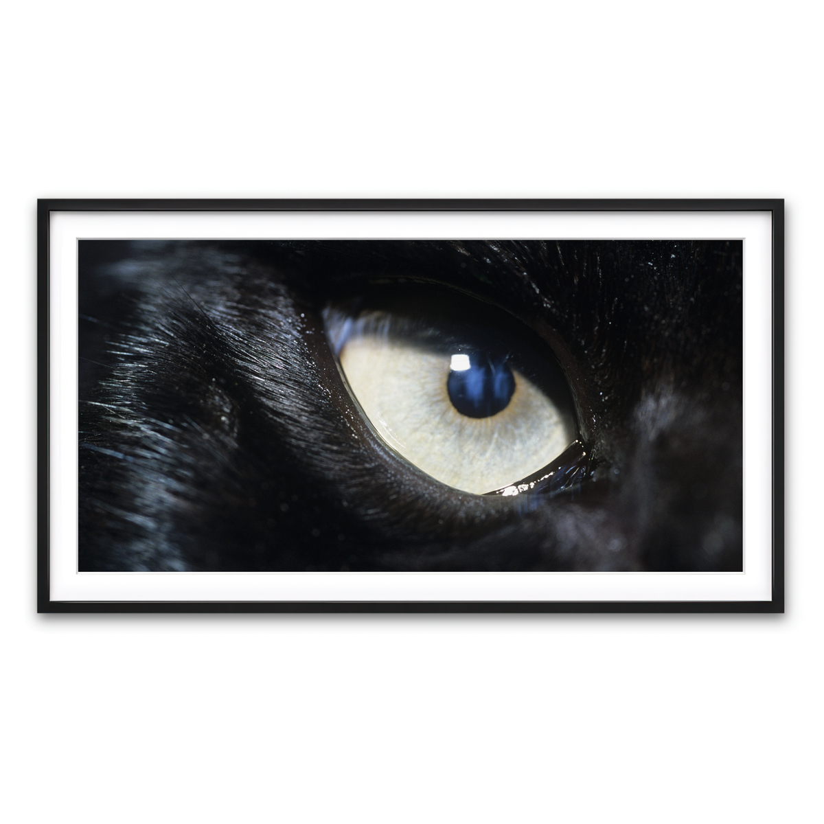 Framed Print 2x1 Black