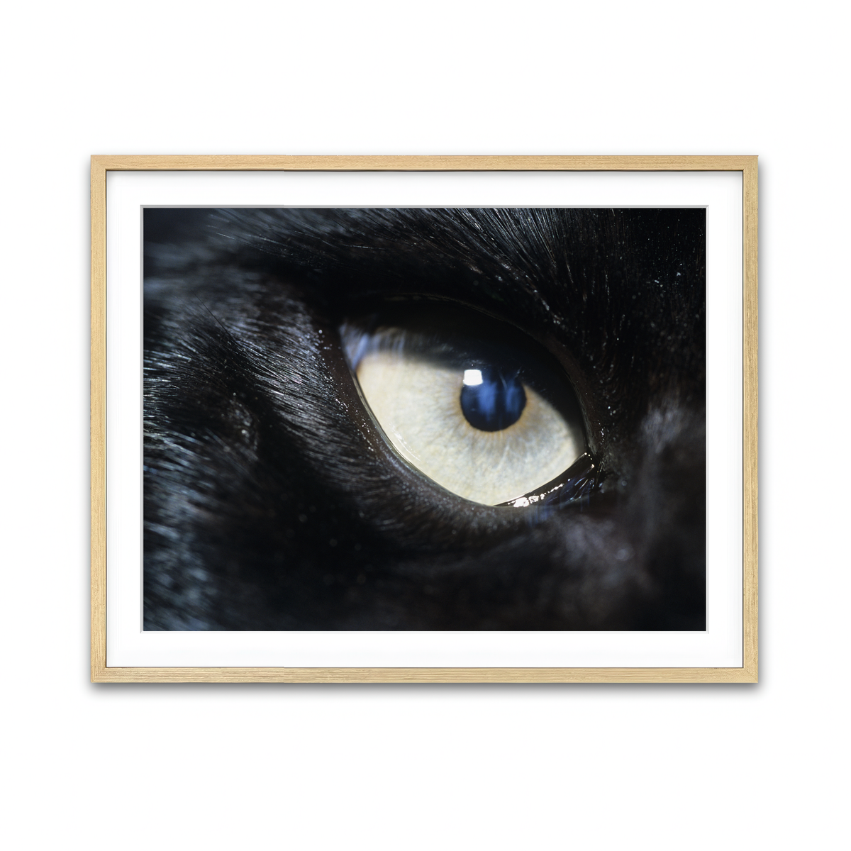Framed Print 4x3 Natural