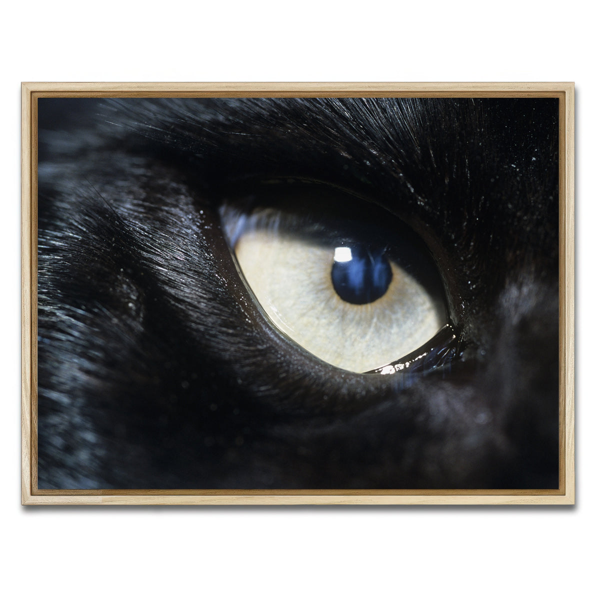 AUTO-MOCKUP WHITE | Eye of Black Wolf | 1 Piece | Natural Framed Canvas | group=4x3