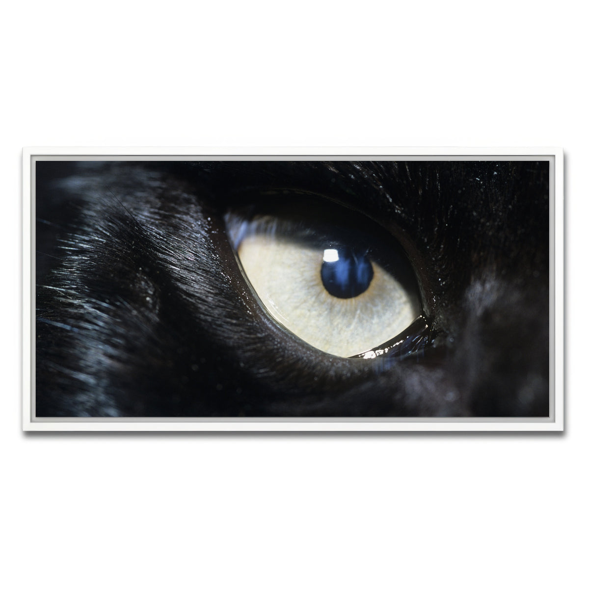 AUTO-MOCKUP WHITE | Eye of Black Wolf | 1 Piece | White Framed Canvas | group=2x1