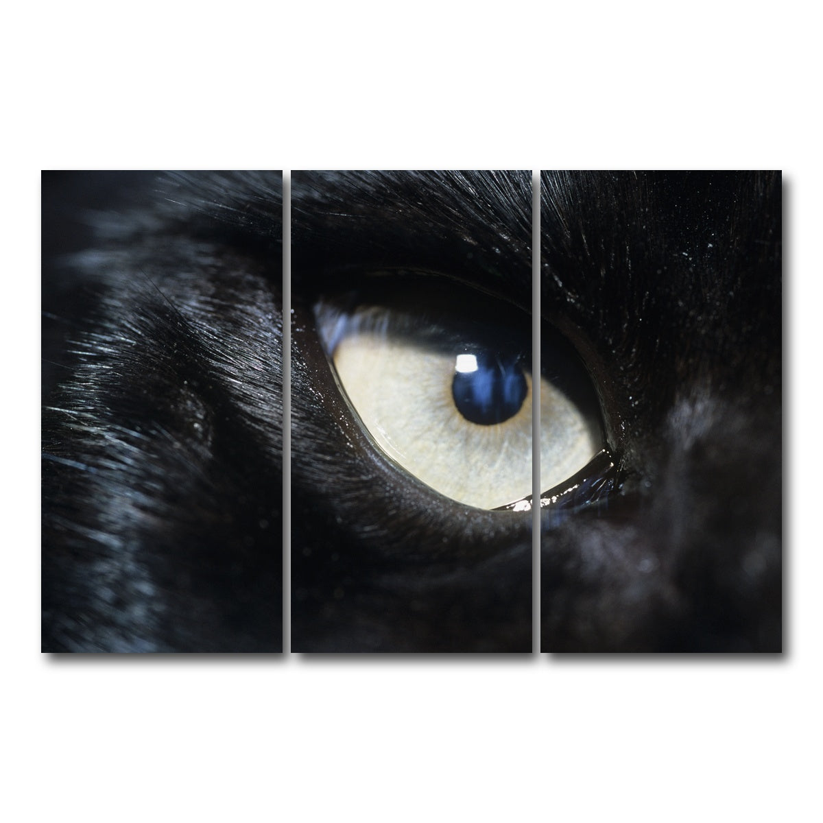 AUTO-MOCKUP WHITE | Eye of Black Wolf | 3 Piece | Gallery Wrap Canvas | group=12x24