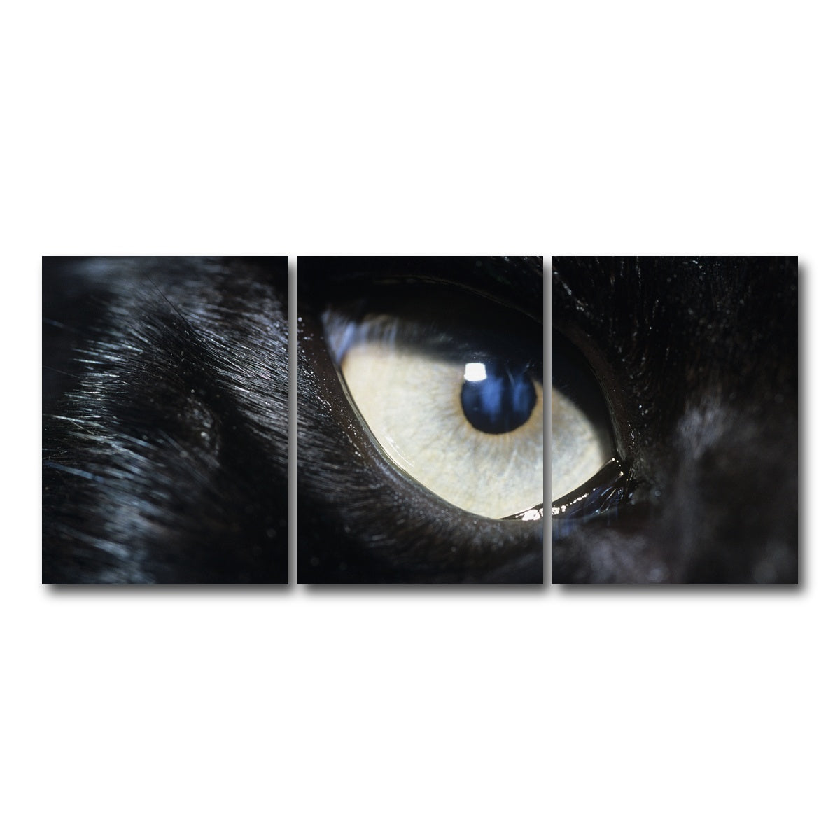 AUTO-MOCKUP WHITE | Eye of Black Wolf | 3 Piece | Gallery Wrap Canvas | group=18x24