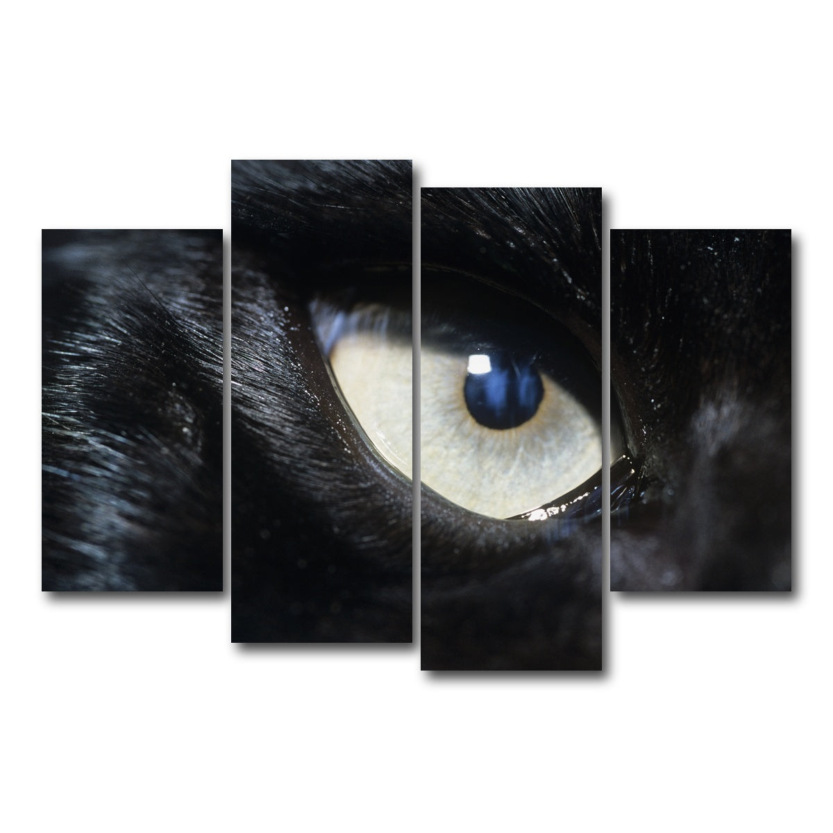 AUTO-MOCKUP WHITE | Eye of Black Wolf | 4 Piece | Gallery Wrap Canvas | group=4_short