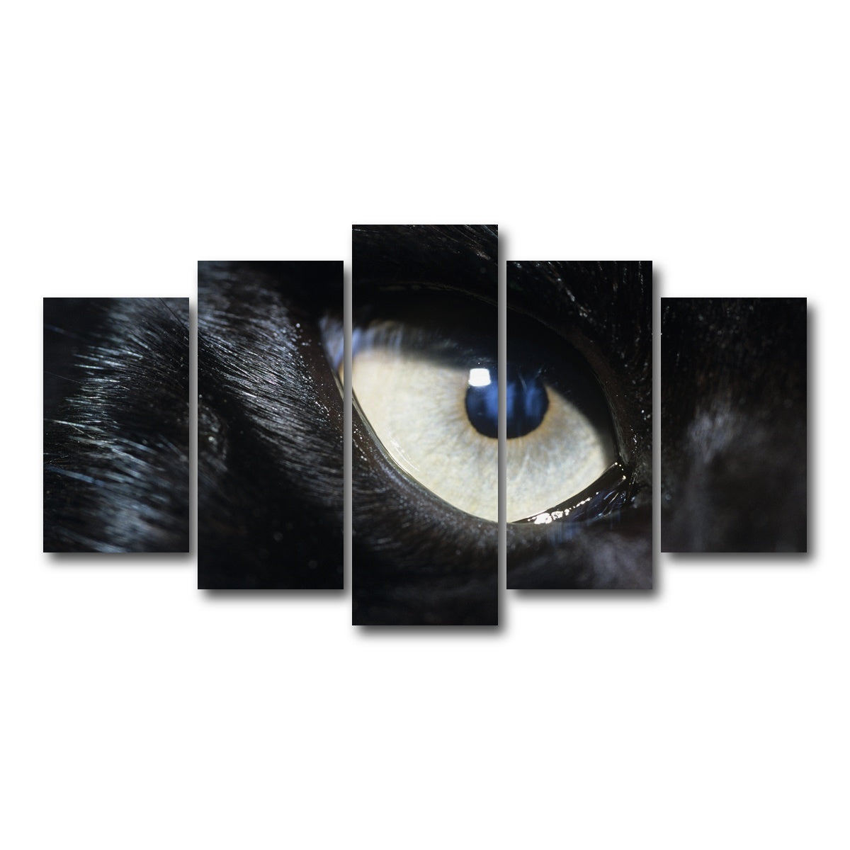 AUTO-MOCKUP WHITE | Eye of Black Wolf | 5 Piece | Gallery Wrap Canvas | group=5_normal
