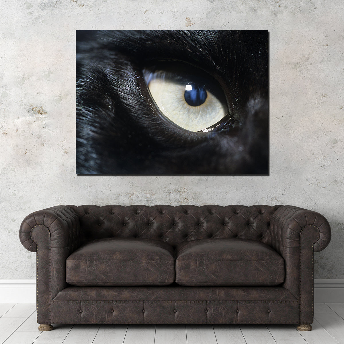 Eye of Black Wolf Wall Art