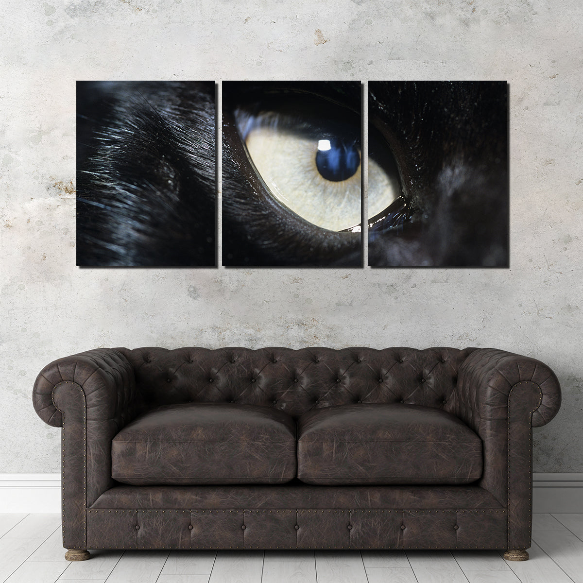 Eye of Black Wolf Wall Art