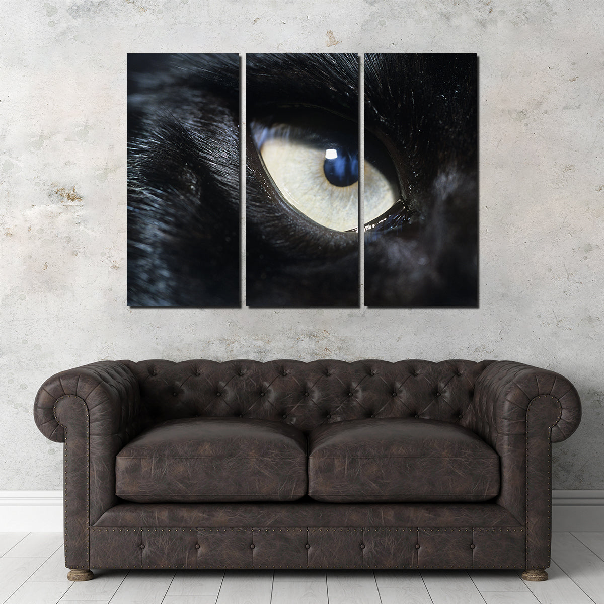 Eye of Black Wolf Wall Art