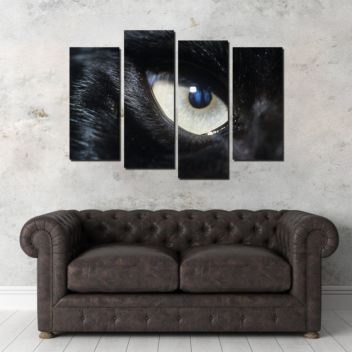 Eye of Black Wolf Wall Art