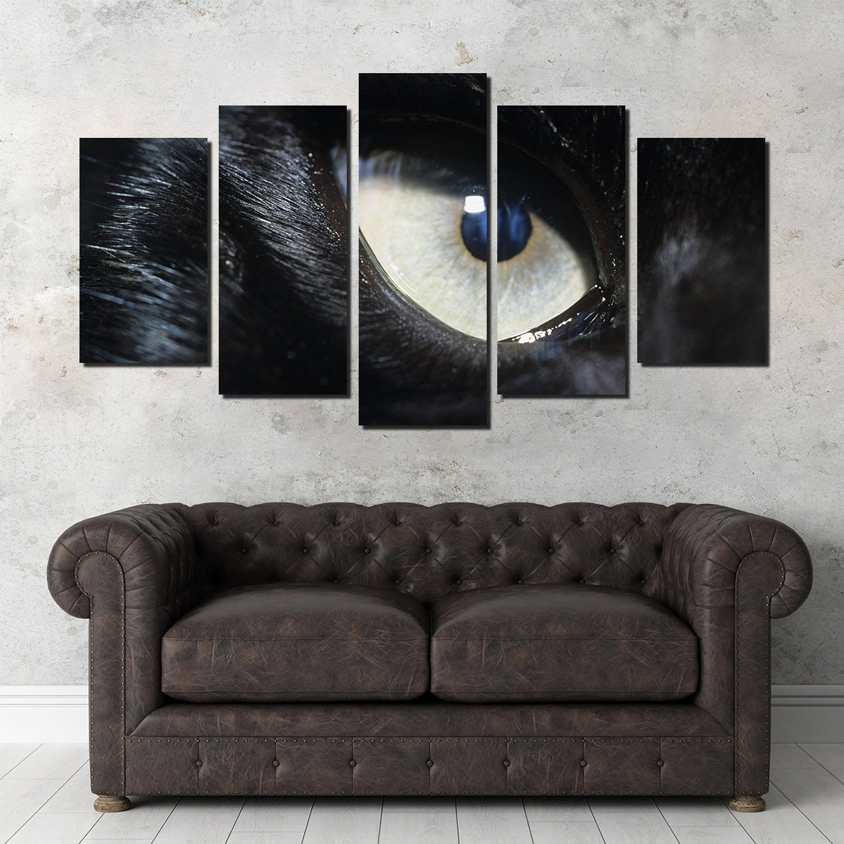 Eye of Black Wolf Wall Art