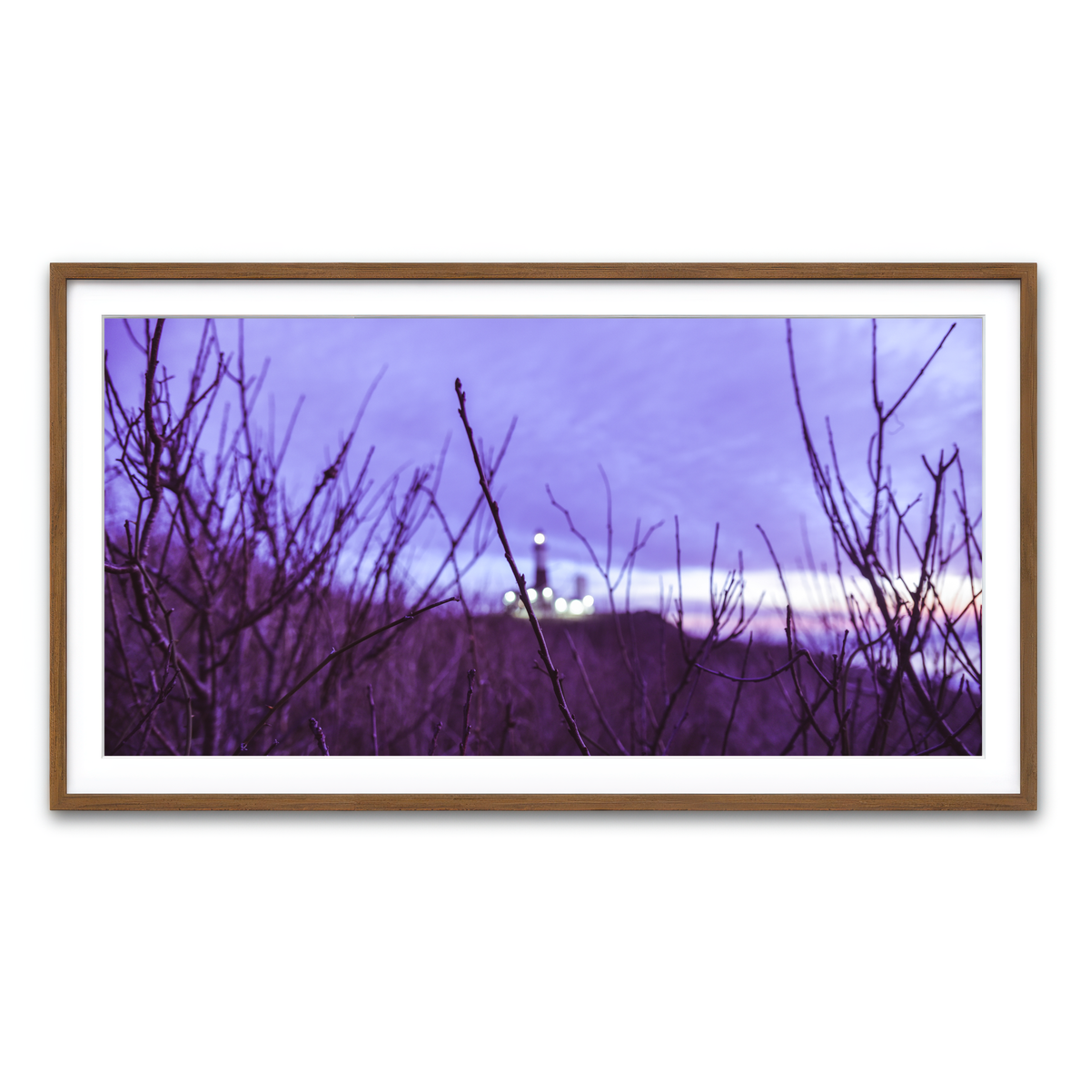 Framed Print 2x1 Walnut