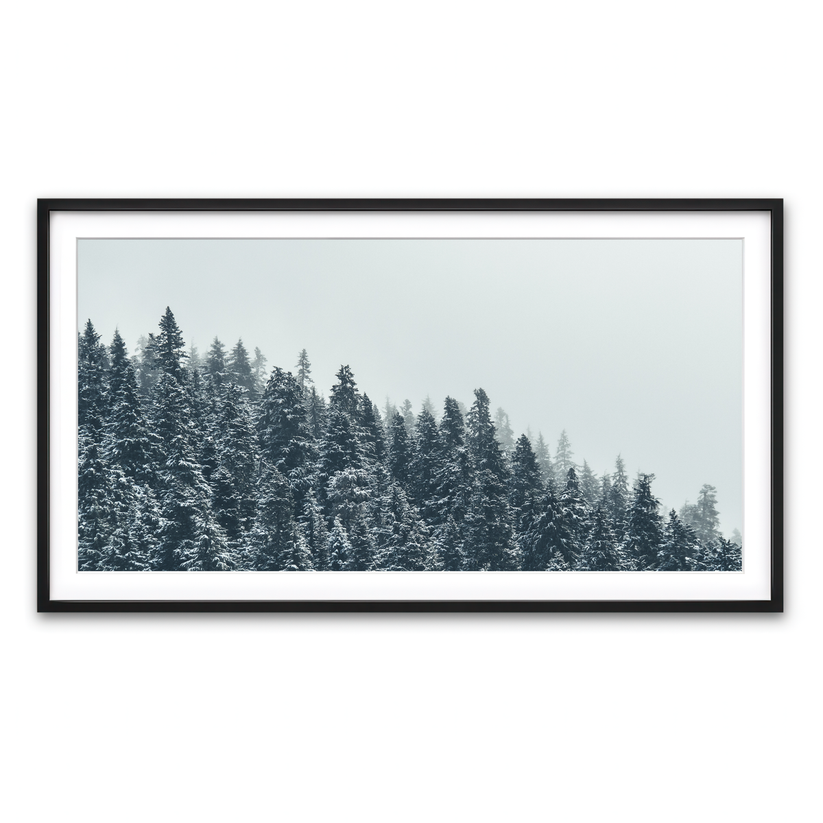 Framed Print 2x1 Black