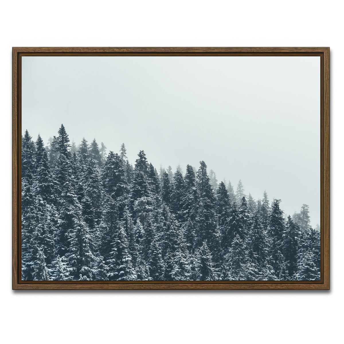 AUTO-MOCKUP WHITE | Fading Pines | 1 Piece | Walnut Framed Canvas | group=4x3