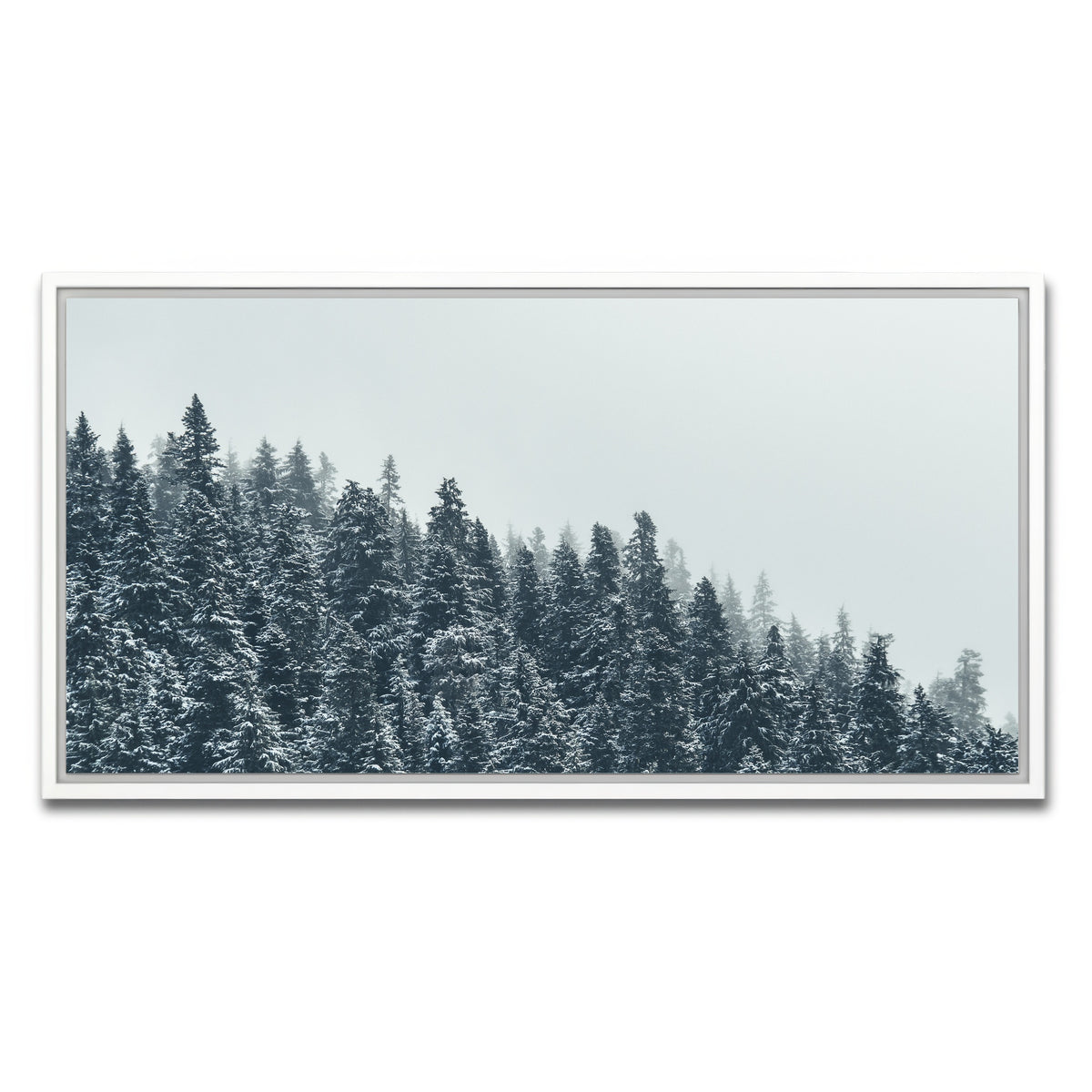 AUTO-MOCKUP WHITE | Fading Pines | 1 Piece | White Framed Canvas | group=2x1