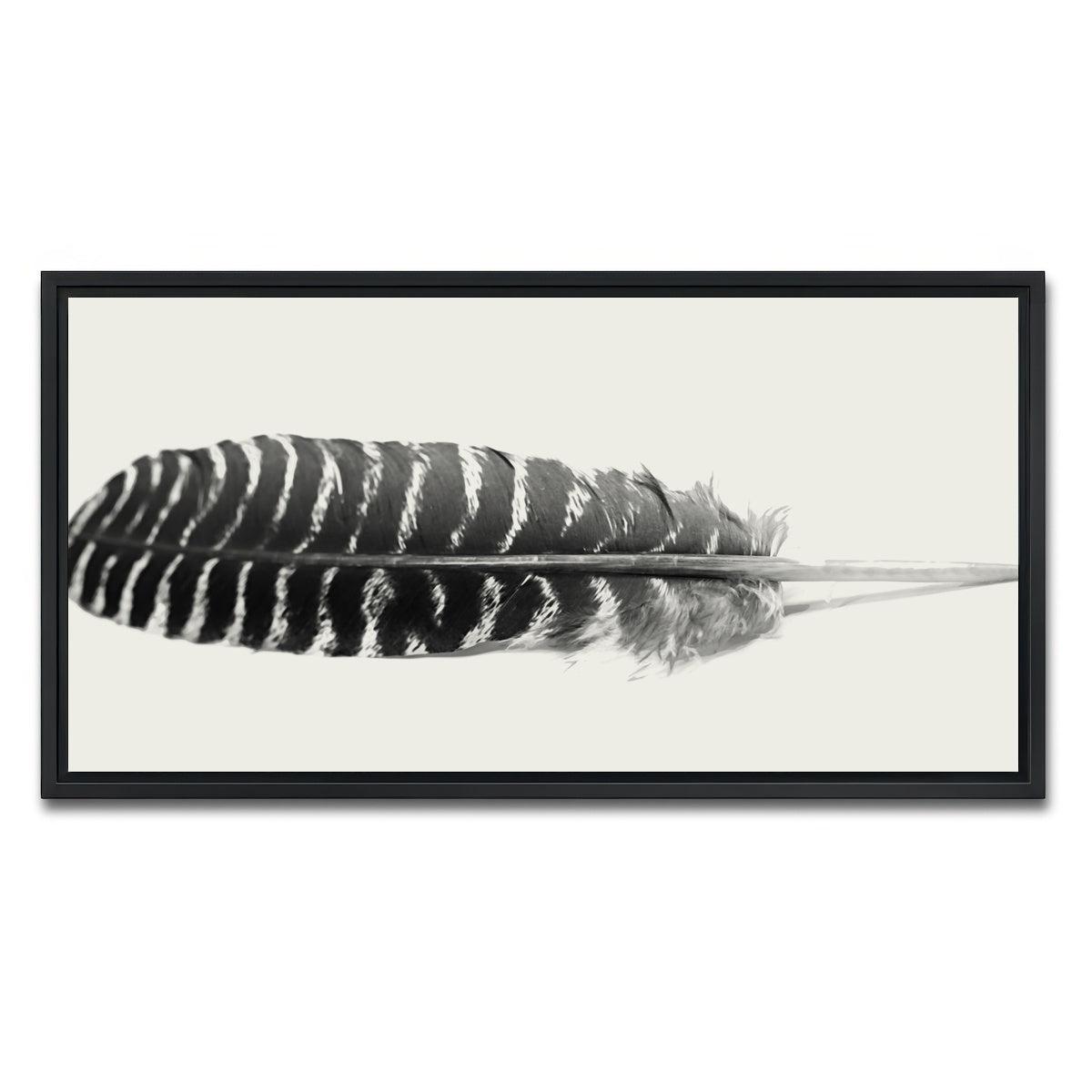 AUTO-MOCKUP WHITE | Falcon Feather | 1 Piece | Black Framed Canvas | group=2x1