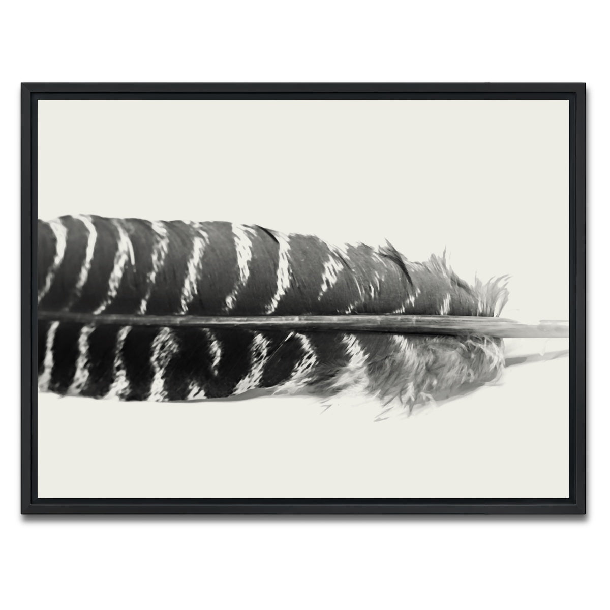 AUTO-MOCKUP WHITE | Falcon Feather | 1 Piece | Black Framed Canvas | group=4x3