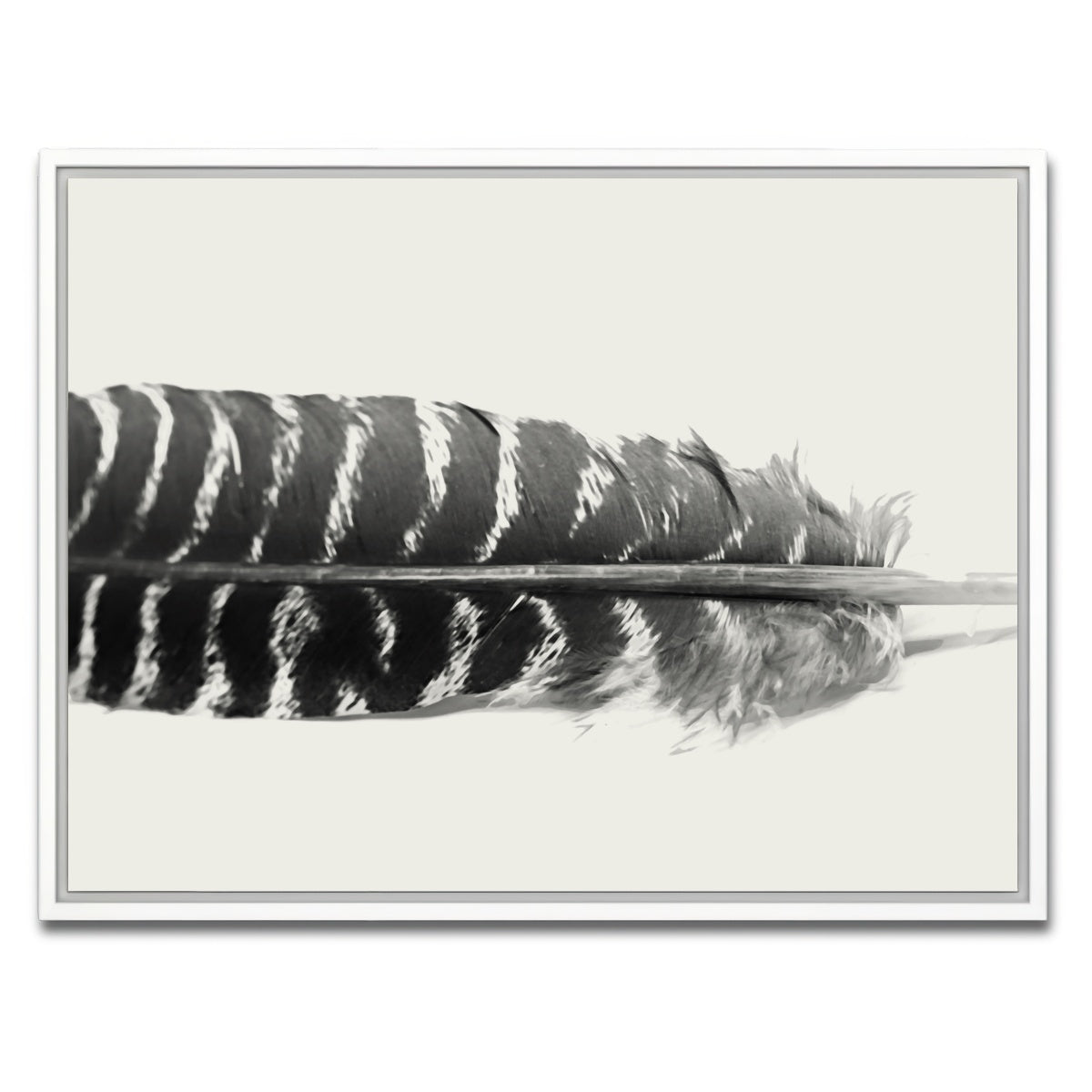 AUTO-MOCKUP WHITE | Falcon Feather | 1 Piece | White Framed Canvas | group=4x3