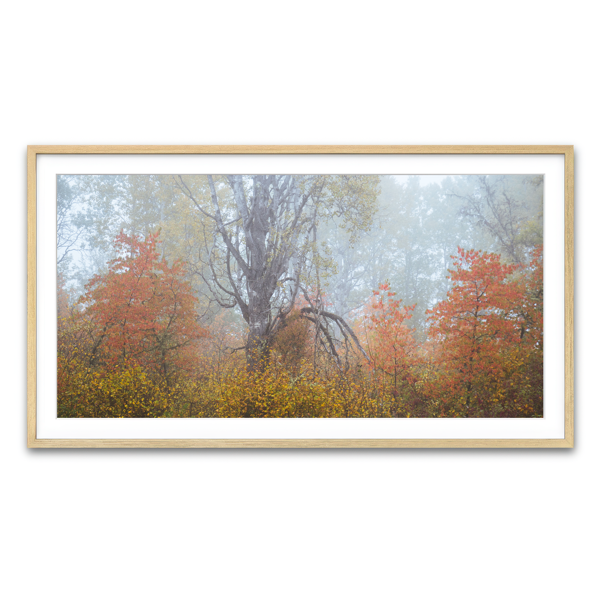 Framed Print 2x1 Natural